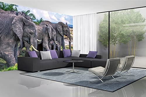 Vlies Fototapete GRUPPE AFRIKANISCHER ELEFANTEN 375 x 250 cm (inkl. Kleister) - Vlies Tapete, Wandtapete, Wandbilder - Tapete für Wohnzimmer Schlafzimmer, Büro, Küche - Montagefertig