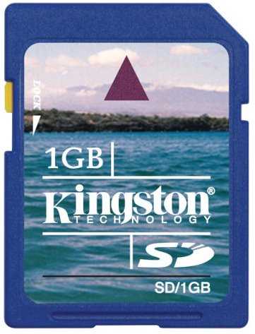 Kingston 1 GB SD Card (SD/1GBKR)