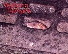 Wolfgang Tillmans: For When I'm Weak I'm Strong by Wolfgang Tillmans (1996-09-02)