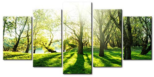 decomonkey - Impression sur Toile Foret 200x100 5 Pièces - Tableau Décoration Appartement Déco Salon Peinture sur Toile Arbres paysage forêt feuilles nature paysage plantes soleil vert