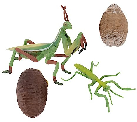 HAWILLOSCH Per L'asilo Nido 1 Set Di Giocattoli Animali 3d Di Ciclo Di Crescita Realistico Per L'apprendimento