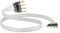 QED Silver Anniversary XT Bi-Wire Speaker Cable Terminated by Digitalis Audio with QED Airloc Forte Banana Plugs (10m, Bi-Wire Airloc)