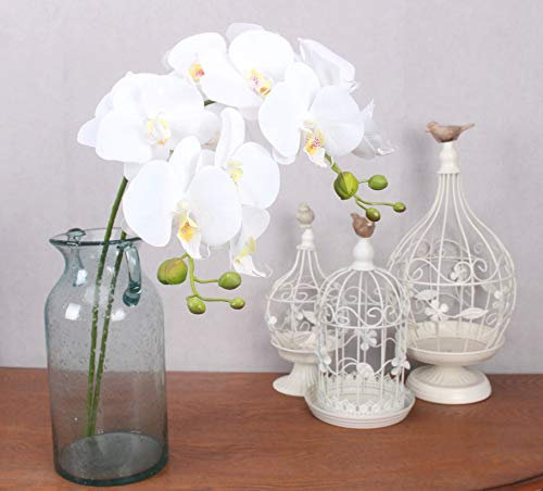 Brillabenny Fiore Orchidea PHALAENOPSIS 7 Teste Senza Vaso Altezza 75 CM Artificiale Lattice 4 Bulbi (Bianco)