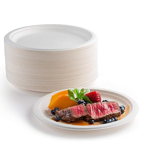 Piatti Carta Bianco Piatti Usa e Getta Piatti di Carta Biodegradabili e compostabili Riciclabile Bagassa di Canna da Zucchero Ecologici Piatti (25,4CM, 50PCS)