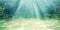MIRRORANG 180x61cm Aquarium Background Aquatic Plant Bubble Underwater Ocean Floor Fish Tank Poster Backdrop Vinyl Background