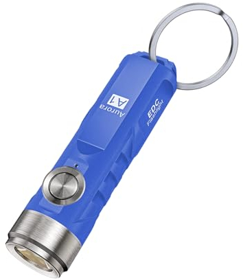 RovyVon Aurora A1 G4 USB C Rechargeable Mini Flashlight, Small Bright Keychain Flashlight 650 High Lumens EDC Flashlight Gadget with Clip for Camping, Hiking, Emergencies (Blue)