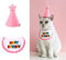 Haustier Katze Hund Happy Birthday Bandana Schals und Party Hut Mini Doggy Cat Geburtstag Party Dekoration Haustier Geburtstag Outfit Haustier Kostüme Kopfbedeckung Zubehör Rosa B