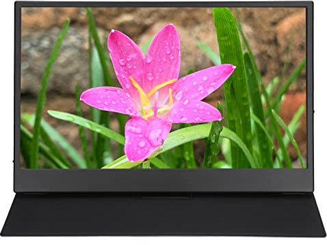 Goshyda Monitor Portatile da 13,3 Pollici, 2560x1440 HD IPS HDR Schermo Esterno Doppio Altoparlante Tipo C HDMI, Monitor da Gioco per PC per PS4 per (Spina UE)