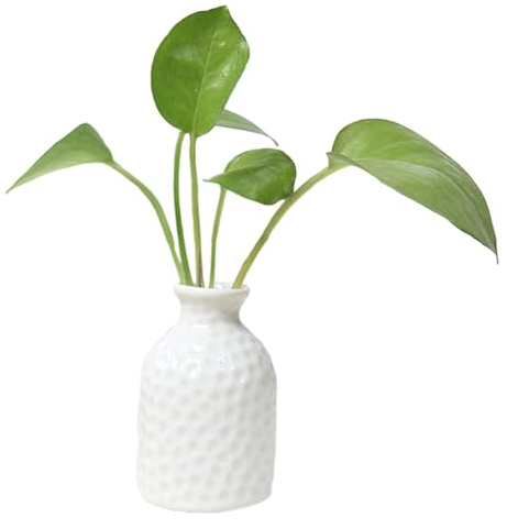 VALINK White Mini Ceramic Bud Vase - Desktop Floral Decor for Bedrooms, Small Cute Tabletop Centerpiece