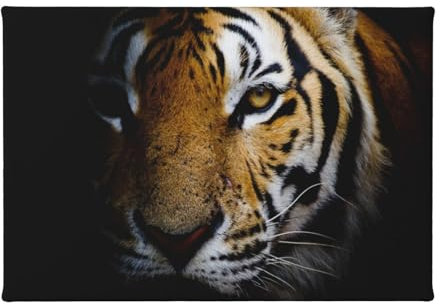 EgoMed Wandkunst, Leinwand 7,8x11,8 Zoll Dekorative Malerei Wandkunst Gemälde für Wohnzimmer, Tigerkopf in Dunkel bedruckt