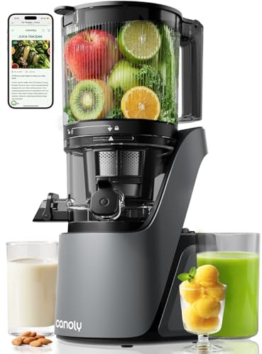 Cold Press Juicer Machines, 350W Masticating Juicer with 5.8‘’ Large Feeding Chute for Whole Fruit and Vegetable,High Juice Yield and Easy to Clean, Grey-Black