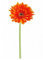 Kunstblume mit Extragroßer Seidenblüte, Gerbera, mit Stängel, Künstliche Blumen in vielen Farben von Homestreet® Orange