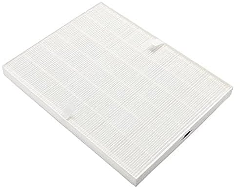 Electrolux 900166041 EF 108W - Filtro Hepa E12 per Air Cleaner