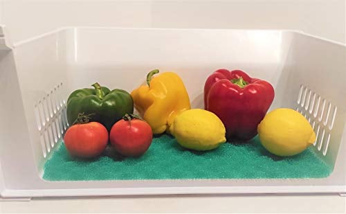 Smart-t-Haus Esterilla para mentener los Alimentos Frescos para el frigorífico Verde 47x30 cms
