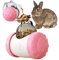 Dbeans Flourithing Interactive Treat Ball for Rabbits, Rabbit Snack Toy Ball, Sports and Entertainment Treats Interactive Game, Roll and Push, Enrichment Foraging Toys for Rabbits