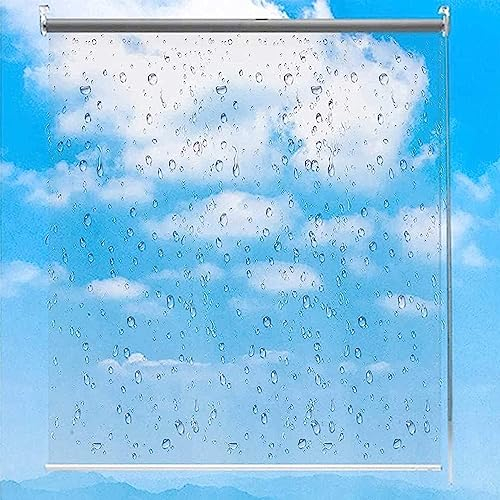 Transparentes Wasserdichtes Rollo,PVC Kunststoff Rollläden,Rollos für den Garten im Freien,Wärmeisoliert,Staubdicht,Regenfester,für Balkon Terrassen Store Hotel Office,Breite x Höhe (180x220cm)
