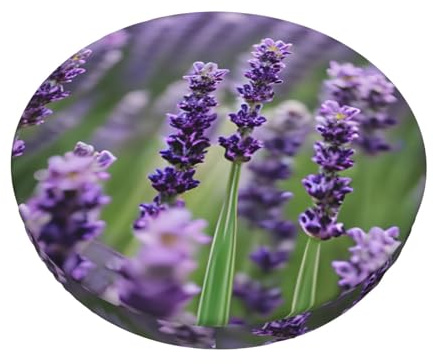 njkhbolk Stuhlkissen, rund, mit Blumenmuster, Lavendel, weich, bequem, atmungsaktiv