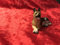 Kolbe, Krippen Figuren,Hund liegend für Figurengröße 10-12 cm