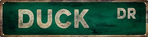 Vintage-Blechschild, Retro-Metallente, DR-Schilder, stilvolle Wandkunst, Plaketten für Heimdekoration, Badezimmer, Küche, Haus und Gothic-Wanddekoration oder als einzigartiges Poster, 40,6 x 10,2 cm