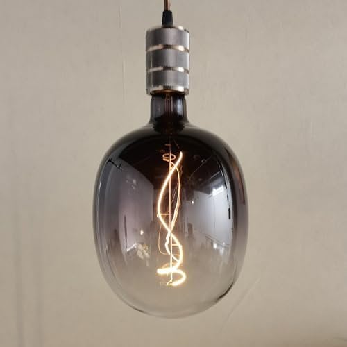 SD LUX Vintage LED Globe Leuchtmittel 5W 400LM(entspricht 40W) E27 XXL Lampen Vintage Große Dekorative dimmbar Kein Flackern, Edison Glühbirne Pendelleuchte Warmweiß 2700k, 1 Stück (DG170BLACK)