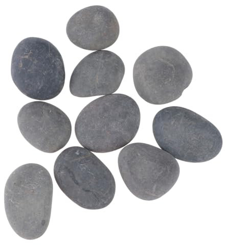 JOINPAYA 20 Pièces Peindre Diy Noires Galets pour Dessin et Création Artistique