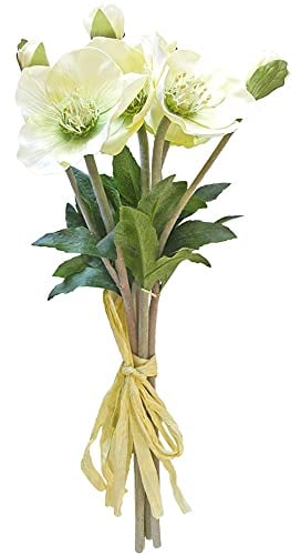 matches21 Christrosen Kunstblume Dekoblume Christrose Kunstpflanze Blumendeko Kunststoff Creme 1 Bund à 4 Stiele Ø 8 cm
