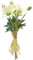 matches21 Christrosen Kunstblume Dekoblume Christrose Kunstpflanze Blumendeko Kunststoff Creme 1 Bund à 4 Stiele Ø 8 cm