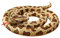 Herfair Plüschtier Python Kuscheltier Realistische Große Schlange Stofftier Plüsch Spielzeug Prank Requisiten Geschenke für Kinder (B,200 cm/ 78.7 in)