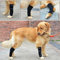 YJZQ 2pcs Hund Sprunggelenk Schutz Bandage 1 Paar Haustier Hunde Handgelenk Bandage Hunde Kniebandage Gelenkbandage Stützbandage Haustier Schutzausrüstung Kniepolster für Hunde,Hundebein-Ärmel