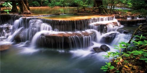 MIRRORANG 180x61cm Wasserfall Terrarium Hintergrund Tropischer Regenwald Aquarium Hintergrund See Wasser Grüner Baum Reptilien Lebensraum Hintergrund Vinyl Hintergrund