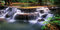 MIRRORANG 180x61cm Wasserfall Terrarium Hintergrund Tropischer Regenwald Aquarium Hintergrund See Wasser Grüner Baum Reptilien Lebensraum Hintergrund Vinyl Hintergrund