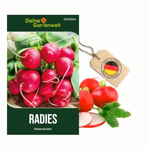 Radieschen Riesenbutter Samen - Raphanus sativus - Radieschensamen - Gemüsesamen - Saatgut für 250 Pflanzen