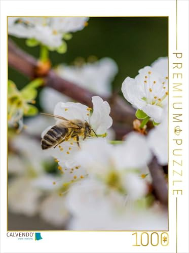 CALVENDO Puzzle Biene auf Obstblüten | 1000 Teile Lege-Größe 48 x 64 cm Foto-Puzzle für glückliche Stunden