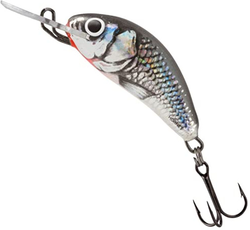 Salmo Hornet Wobbler Miniwobbler D, Salmo Farben:Holographic Grey Shiner, Länge/Gewicht/Laufverhalten/Tauchtiefe:2.5cm / 1.5g / sinkend / 0.5-1.0m