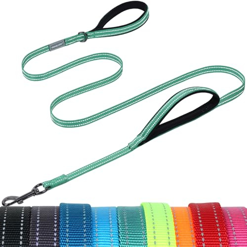 VIVAGLORY Führleine Hund Twingrip Leine Hund, 1.8m x 1.4cm, Türkis | Hundeleine mit 2 Griffen & Doppelgriff Welpenleine für Joggingleine Hausleine, Breit & Dünne Reflektierend Nylon