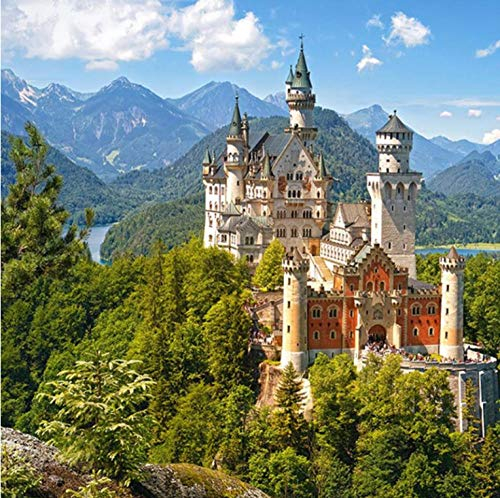 ERBWB DIY 5D Diamant Painting Schloss Neuschwanstein Malerei Kit Voller Bohrer Diamant Stickerei Strass Malerei Kleben Malen nach Zahlen Stich Kunst Kit Zuhause Dekor Mauer Aufkleber 30cm*40cm