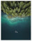 Wald am See von oben Poster von Lukas Saalfrank 50 x 70 cm Wandbilder Wanddeko