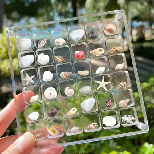 TaoQ C Acryl Magnetische Muschel Display Box, 36 Gitter Muscheln Aufbewahrungsbox Muschel Display Box Transparente Seashell Lagerung für Muschel Bead, Nagel, Schmuck