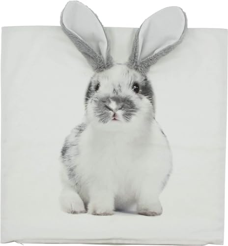 itsisa Kissenhülle Hase Schlappohr 45x45 cm - Kissenbezug, Hülle Kissen, Dekokissen Ostern, Ostergeschenk
