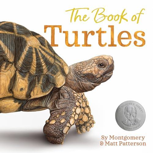 The Book of Turtles: A Fact-Filled Picture Book About Beloved Reptile Species for Kids (Ages 4-8) (Meet the Species, 1)