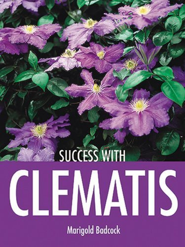 Success With Clematis