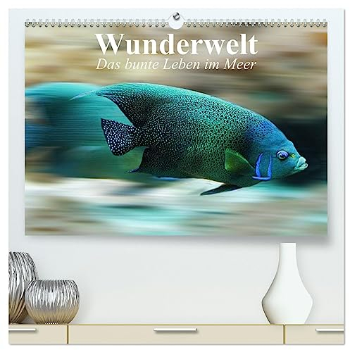 Wunderwelt. Das bunte Leben im Meer (hochwertiger Premium Wandkalender 2025 DIN A2 quer), Kunstdruck in Hochglanz