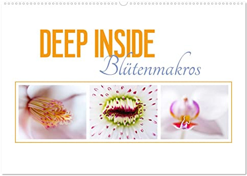DEEP INSIDE - Blütenmakros (Wandkalender 2026 DIN A2 quer), CALVENDO Monatskalender: Tief eintauchen in die farbenprächtige Welt der Blüten. (CALVENDO Natur)