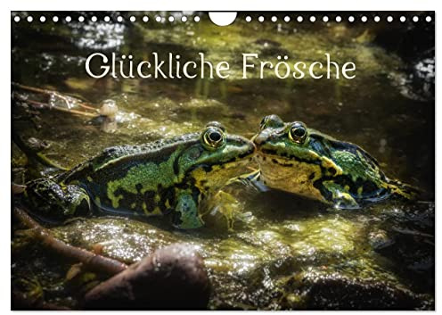 Glückliche Frösche (Wandkalender 2026 DIN A4 quer), CALVENDO Monatskalender: Heimische Frösche mit der Kamera eingefangen (CALVENDO Tiere)