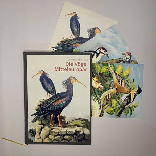 Die Vögel Mitteleuropas (Luxusausgabe im Großformat): Kupferstiche und Lithografien von Johann Friedrich Naumann