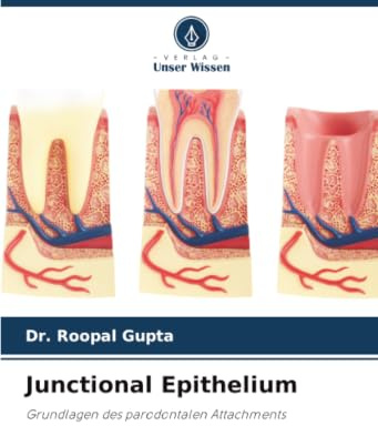 Junctional Epithelium: Grundlagen des parodontalen Attachments