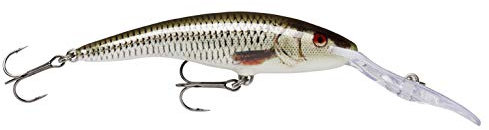 Rapala - Deep Tail Dancer Angelköder - Angelzubehör aus Balsaholz - Stabile Tauchschaufel - Süßwasser Spinnköder - Lauftiefe 6m - Fischköder 9cm, 13g - Hergestellt in Estland - Live Roach