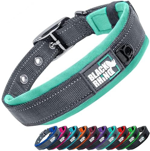 Black Rhino - Das Comfort Halsband Super Weiches Neopren Gepostertes Hundehalsband für alle Hunderassen - Hochbeanspruchbar Verstellbar Reflektierend Wetterfest (Groß, Aqua/Grau)