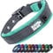 Black Rhino - Das Comfort Halsband Super Weiches Neopren Gepostertes Hundehalsband für alle Hunderassen - Hochbeanspruchbar Verstellbar Reflektierend Wetterfest (Groß, Aqua/Grau)
