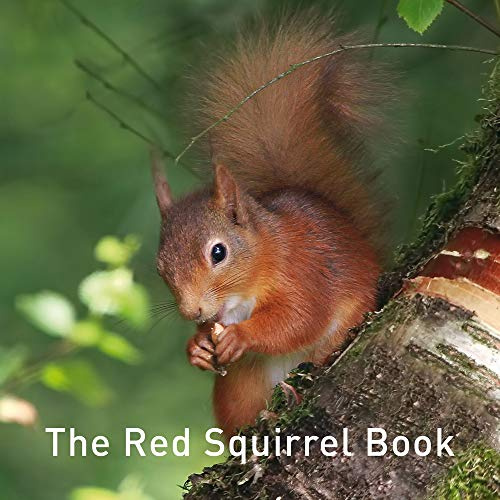 The Red Squirrel Book (The Nature Book Series)